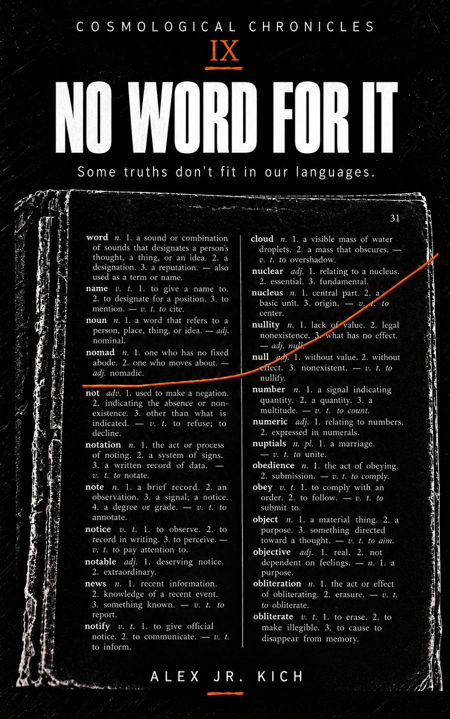 Cover of NO WORD FOR IT